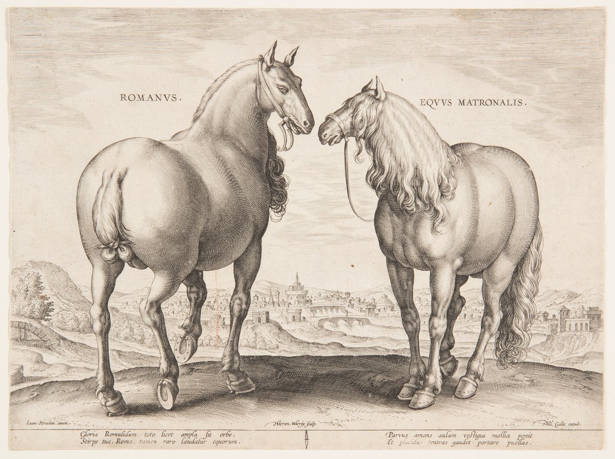 En romersk hest, fra det første settet av "Equile Joannis Austriaci" av Jan van der Straet, called Stradanus