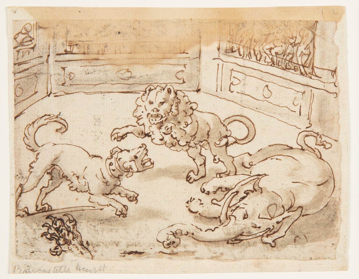 Rekt: Alexander den store ser på en kamp mellom hunden hans, elefanten og en løve; Verso: Verso: inskripsjon knyttet til Plinius den eldstes naturhistorie, bok 8, kap. 61 av Jan van der Straet, called Stradanus