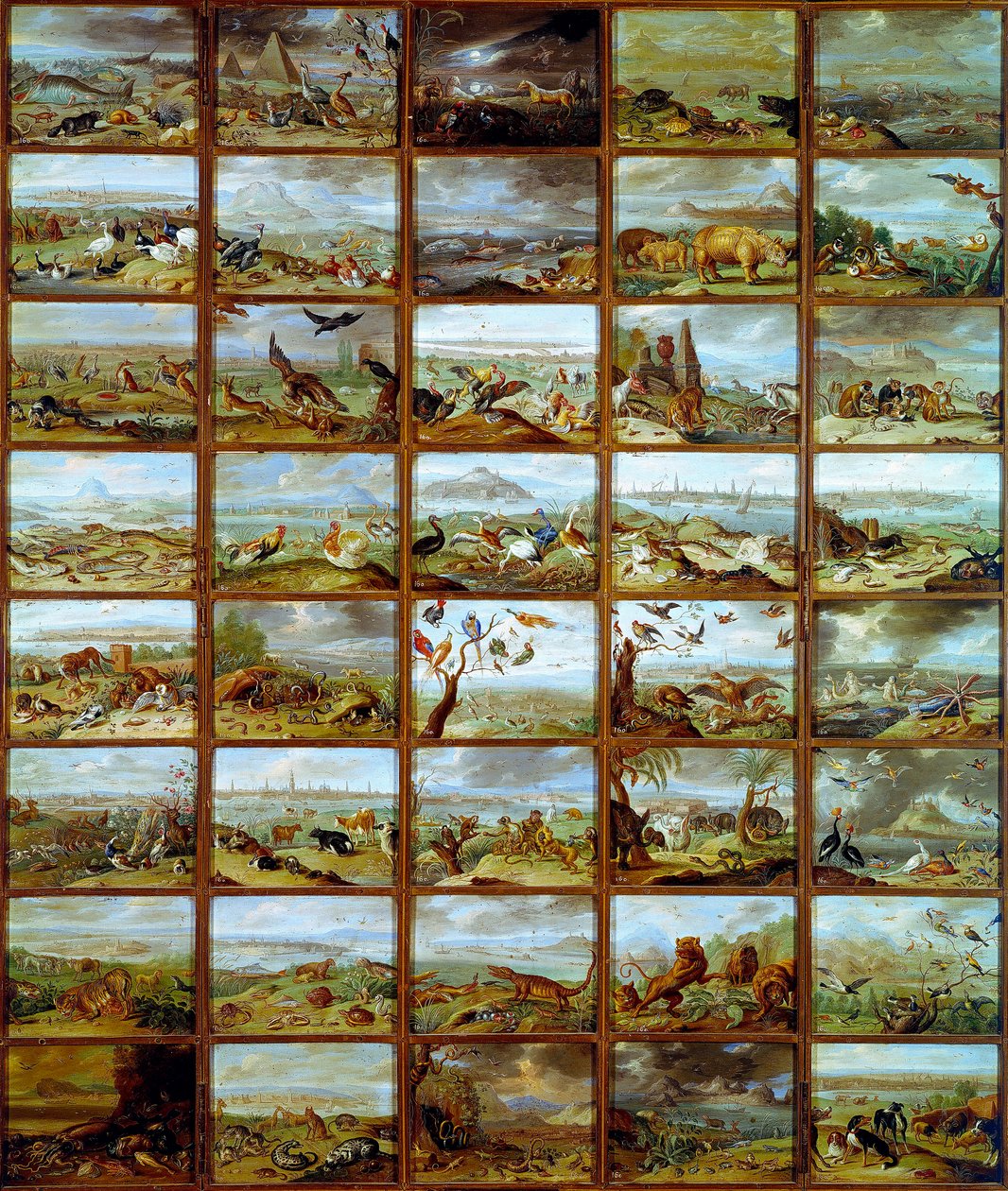 Dyr Tabell som viser rom som tilsvarer ulike dyrearter. Maleri av Jan Van Kessel (1626-1679) Madrid fra 1600-tallet, Prado-museet av Jan van the Elder Kessel