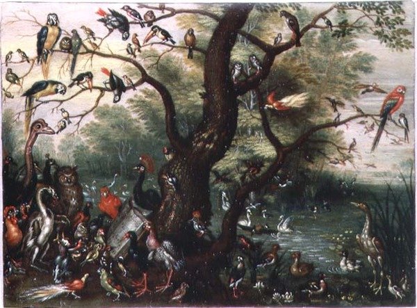 Concert of Birds (olje på kobber) av Jan van the Elder Kessel