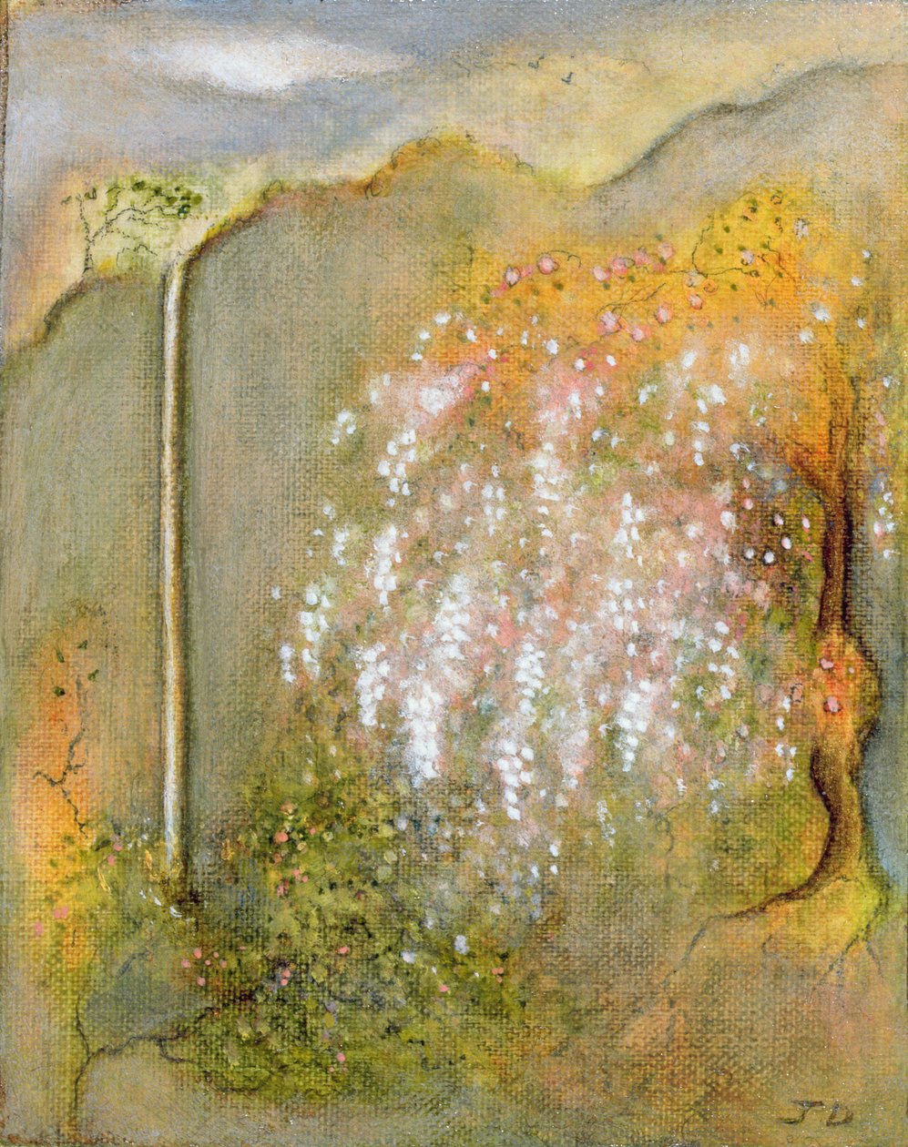 White Wisteria, 2001 av Jane Deakin