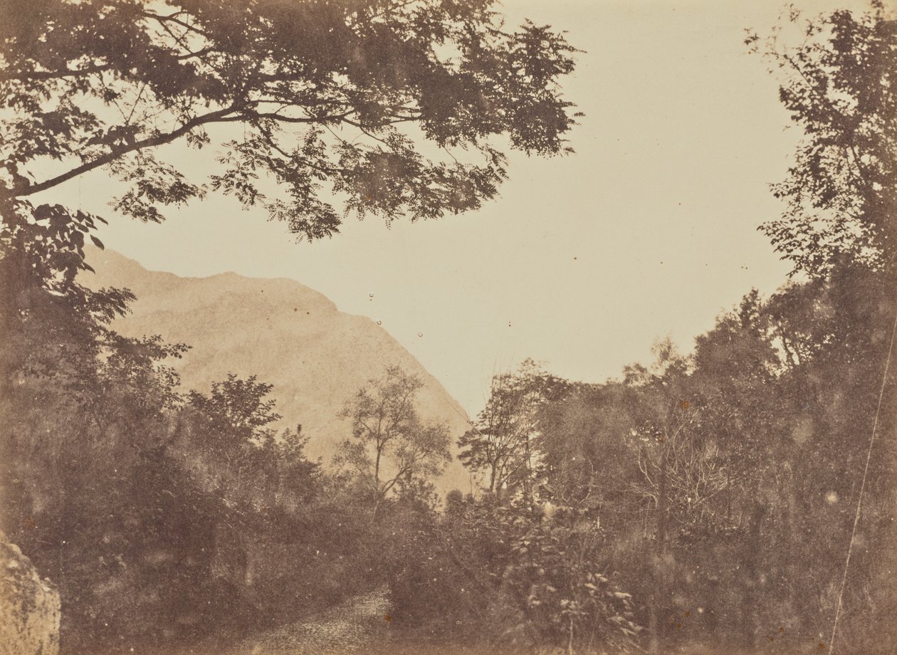  av Jane Martha St. John