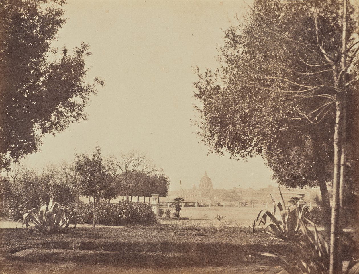  av Jane Martha St. John