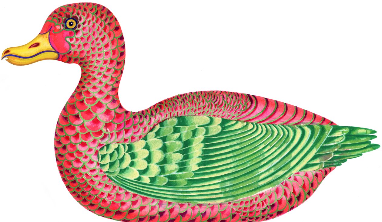 Duck, 1996, (blekk og gouache) av Jane Tattersfield