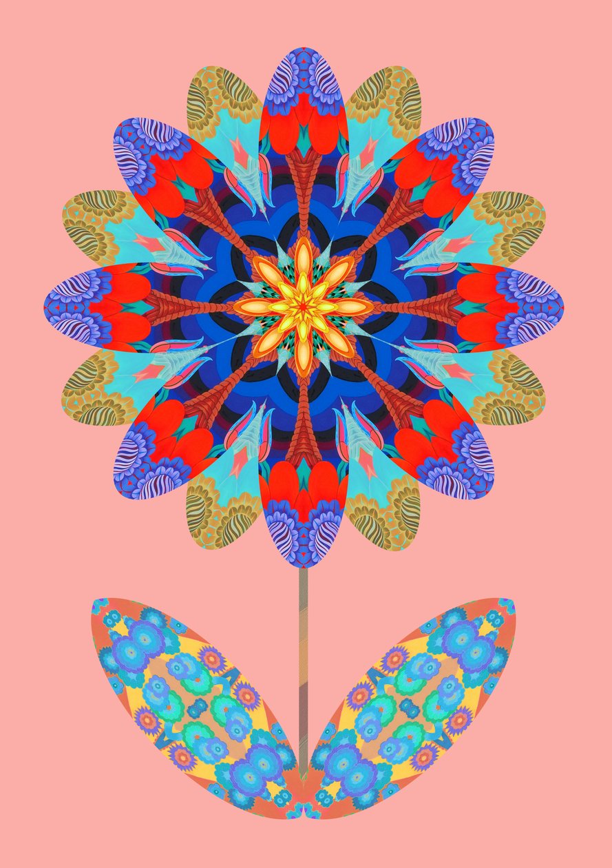 Blomsterutklipp på blekrosa, 2020 av Jane Tattersfield