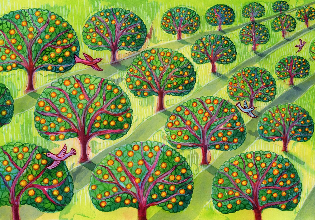 Frukthage av Jane Tattersfield