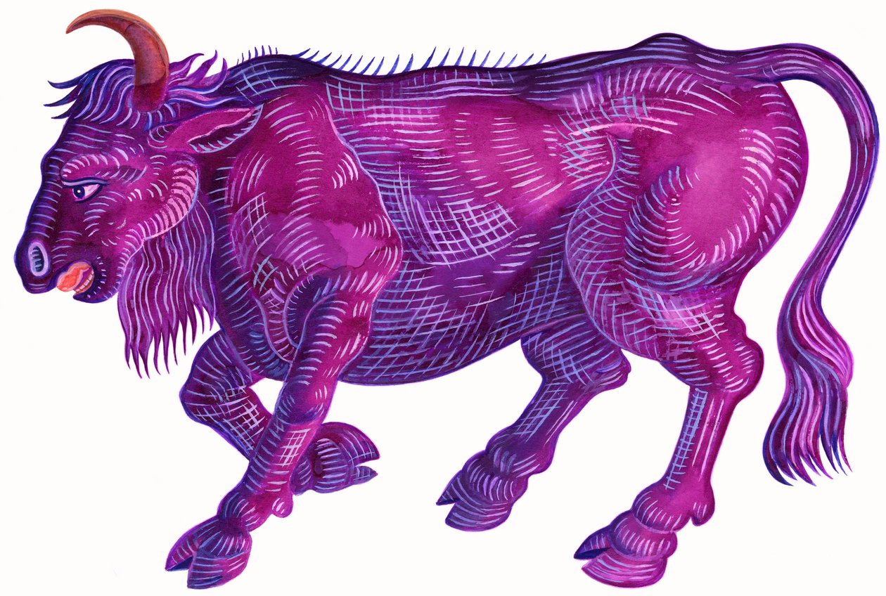 Raging Bull Taurus, 1996, (blekk og gouache) av Jane Tattersfield