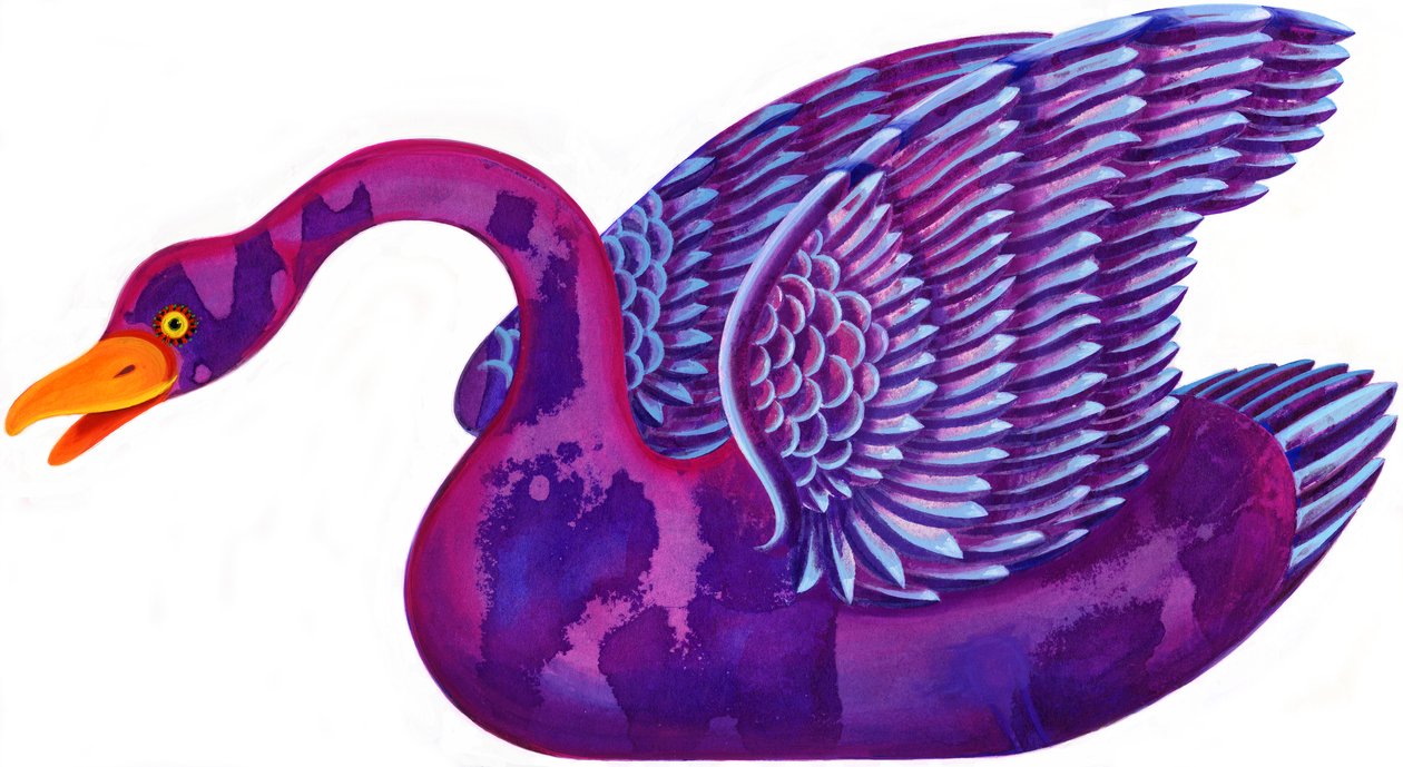 Swan, 1996, (blekk og gouache) av Jane Tattersfield