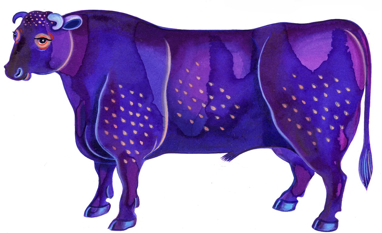 Tyren oksen, 1996, (blekk og gouache) av Jane Tattersfield