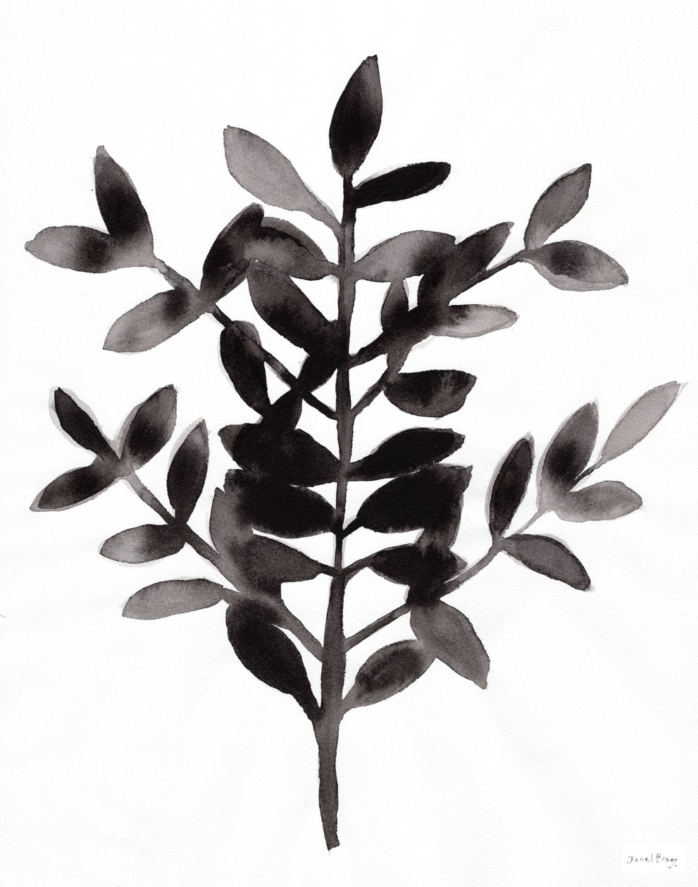 Botanisk med Nagi Fern III (blekk på papir) av Janel Bragg