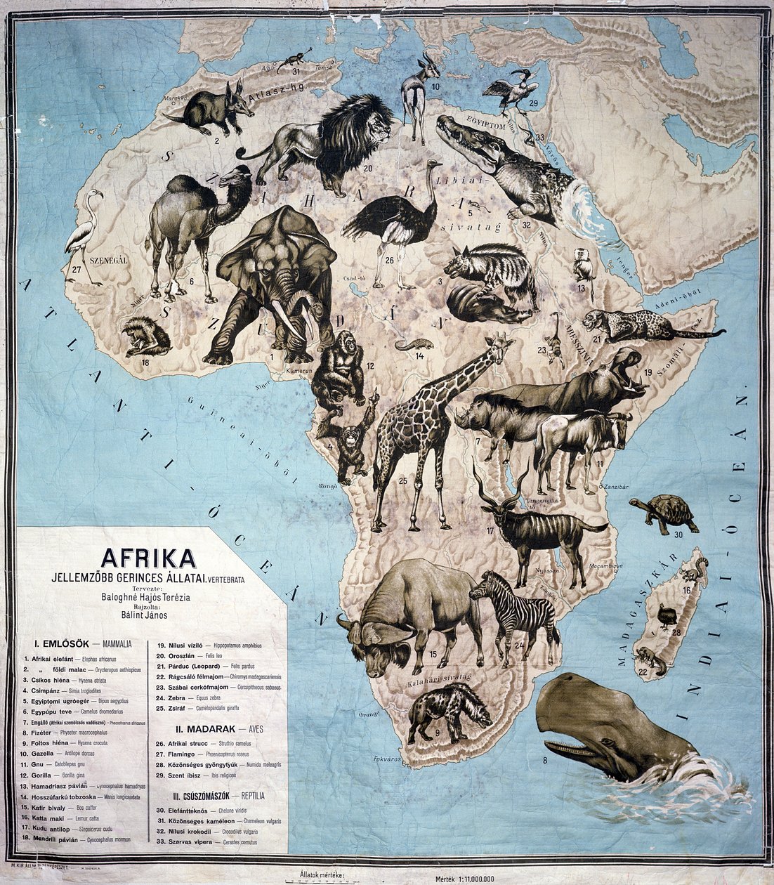 Kart over dyr i Afrika (fargegravering) Sf av Janos Balint