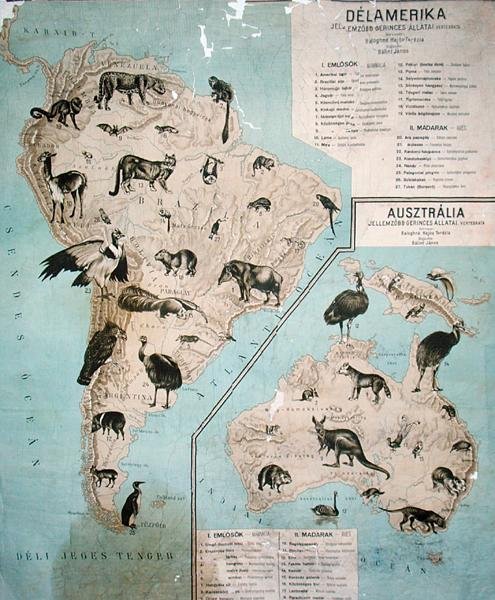 Kart over dyr i Sør-Amerika og Australia av Janos Balint