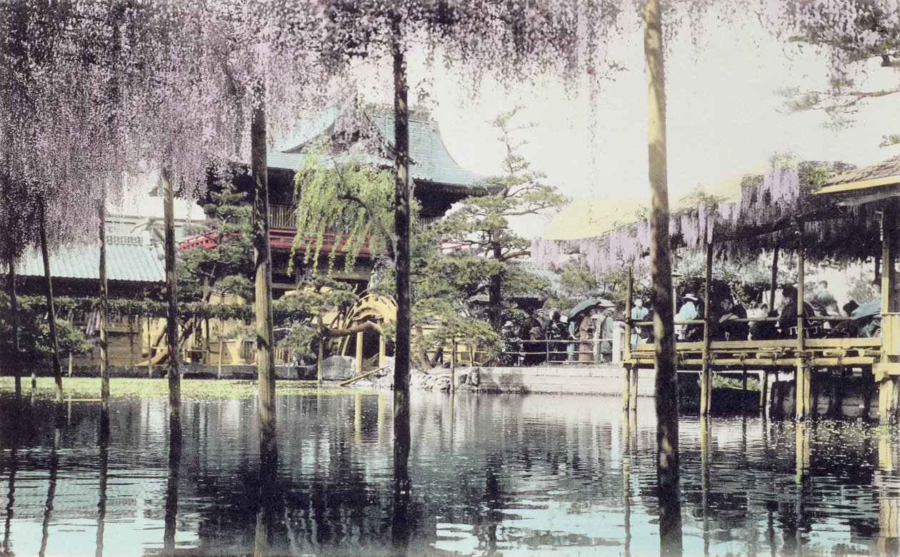 Wisteria blomstrer over dammen i Kameido Temple Gardens, Tokyo, sent på 1800-tallet (håndfarget bilde) (se også 172943) av Japanese Photographer