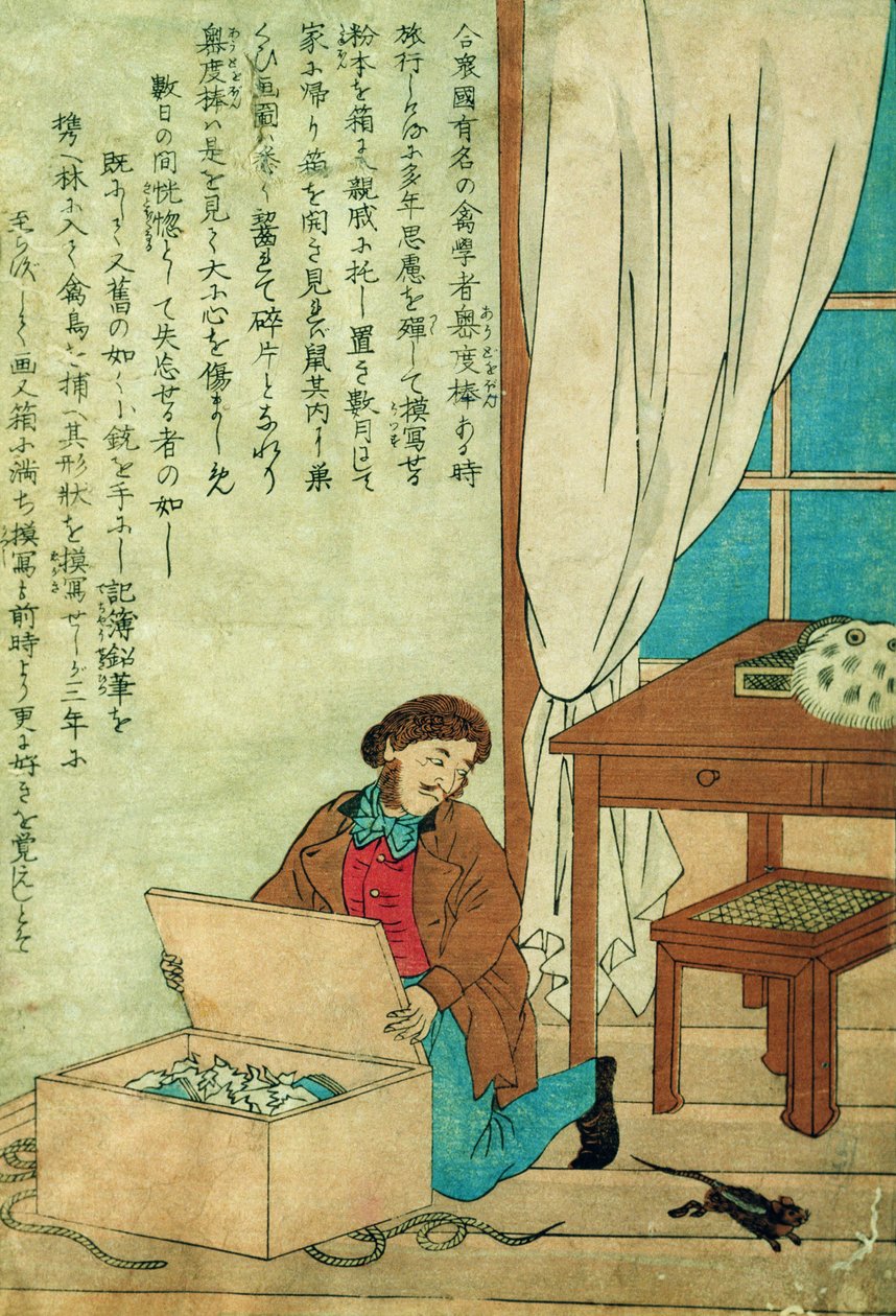 JJ Audubon (1785-1851) på en reise til Japan oppdager en rotte, ca. 1840 av Japanese School