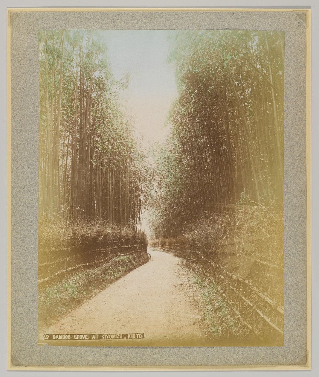 Bamboo Grove i Kiyomizu, Kyoto, Japan (håndfarget svart/hvitt-bilde) av Japanese Photographer