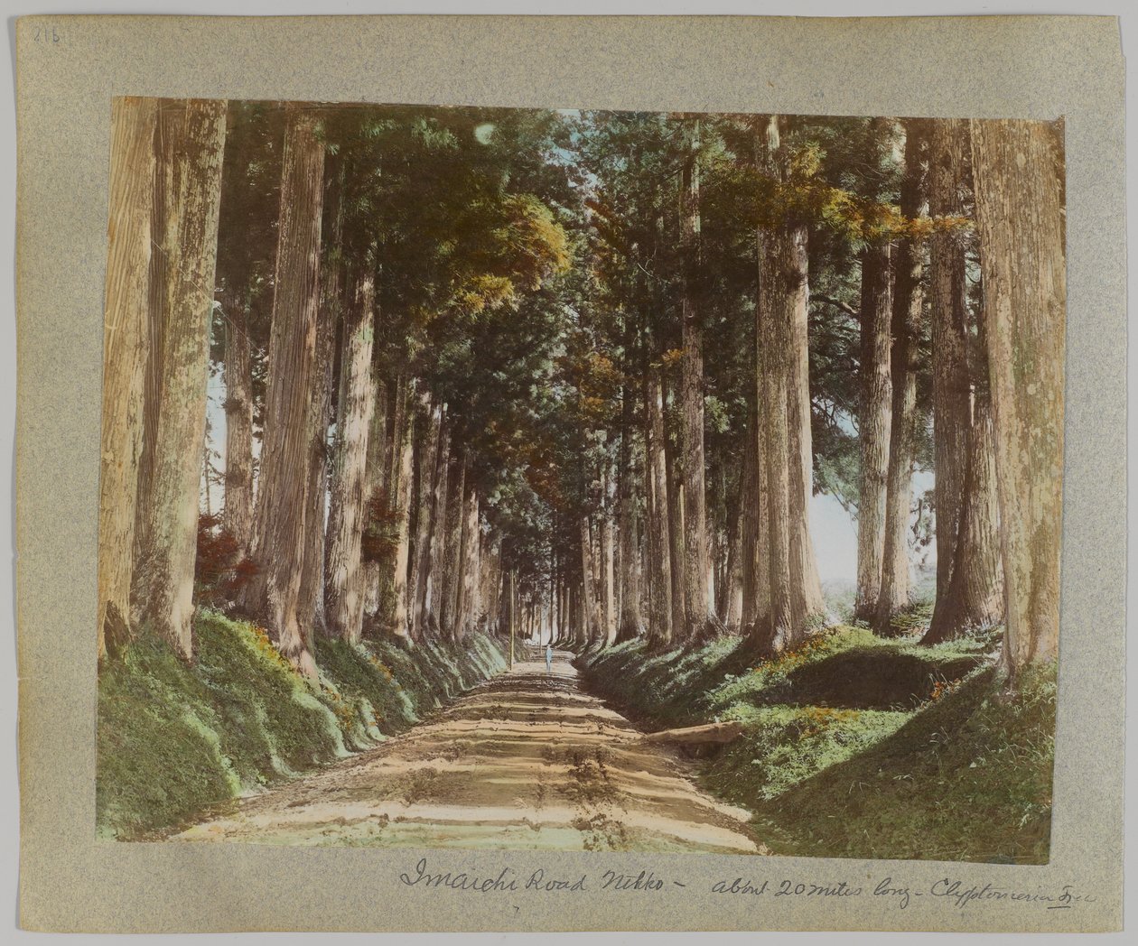 Imaichi Road, Nikko, Japan (håndfarget svart/hvitt-bilde) av Japanese Photographer