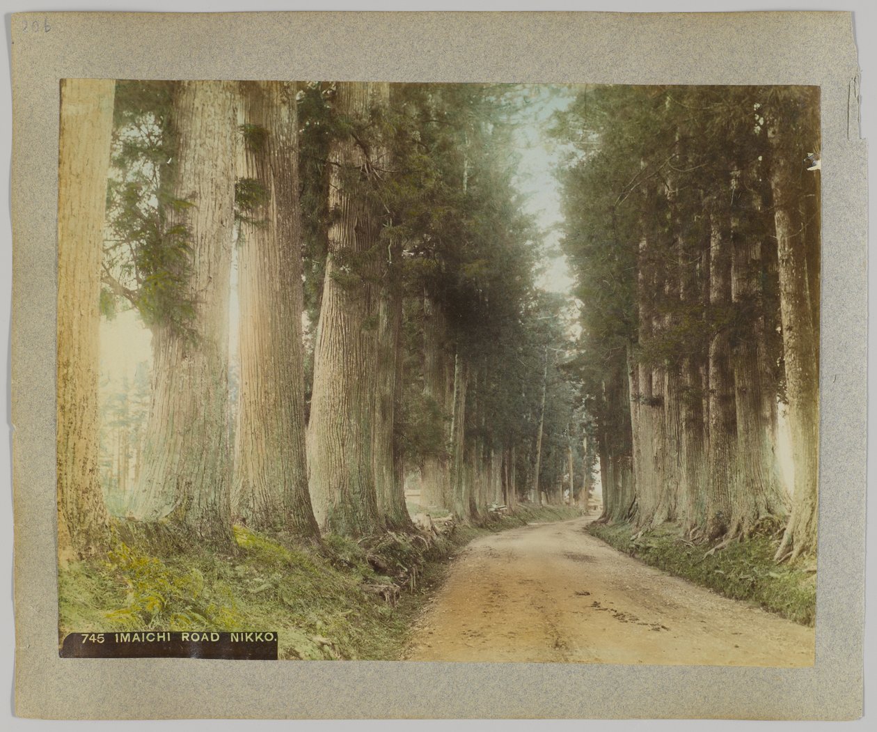 Imaichi Road, Nikko, Japan (håndfarget svart/hvitt-bilde) av Japanese Photographer