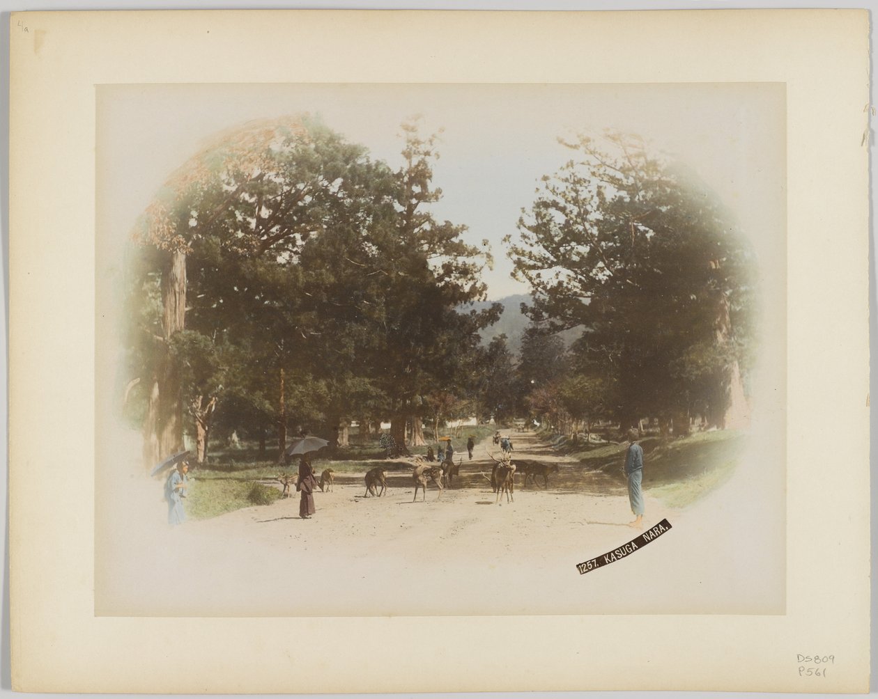Kasuga, Nara, Japan (håndfarget svart/hvitt-bilde) av Japanese Photographer