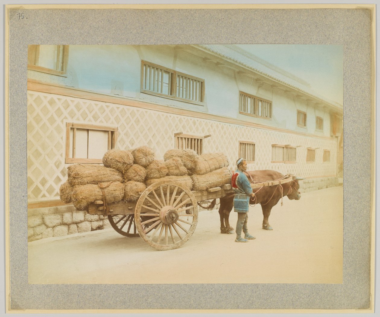 Mann med okse og vogn, Japan (håndfarget s/hv-bilde) av Japanese Photographer