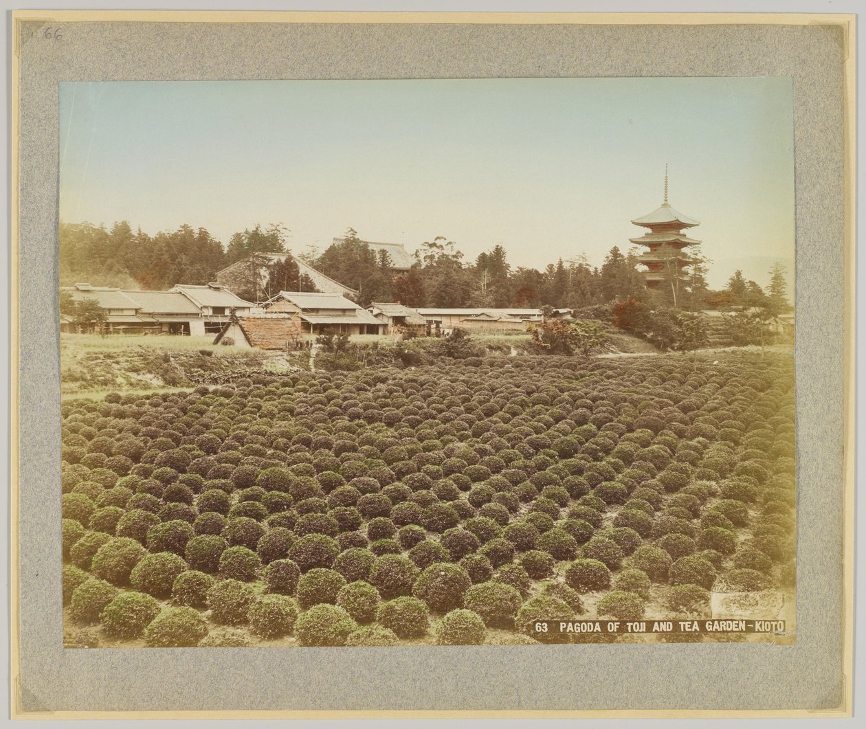 Pagoda of Toji and Tea Garden, Kyoto, Japan (håndfarget s/h-bilde) av Japanese Photographer