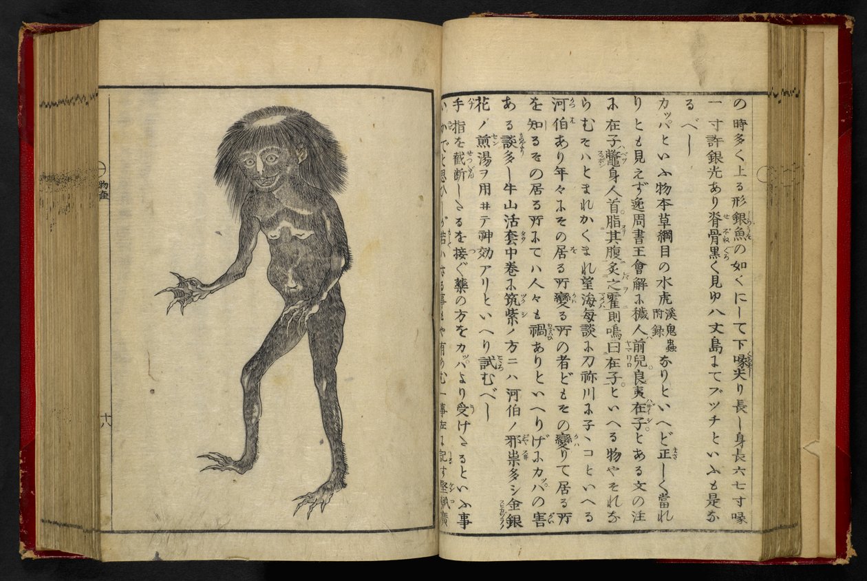 16084.d.15, f.24 A Neneko Kappa, fra 