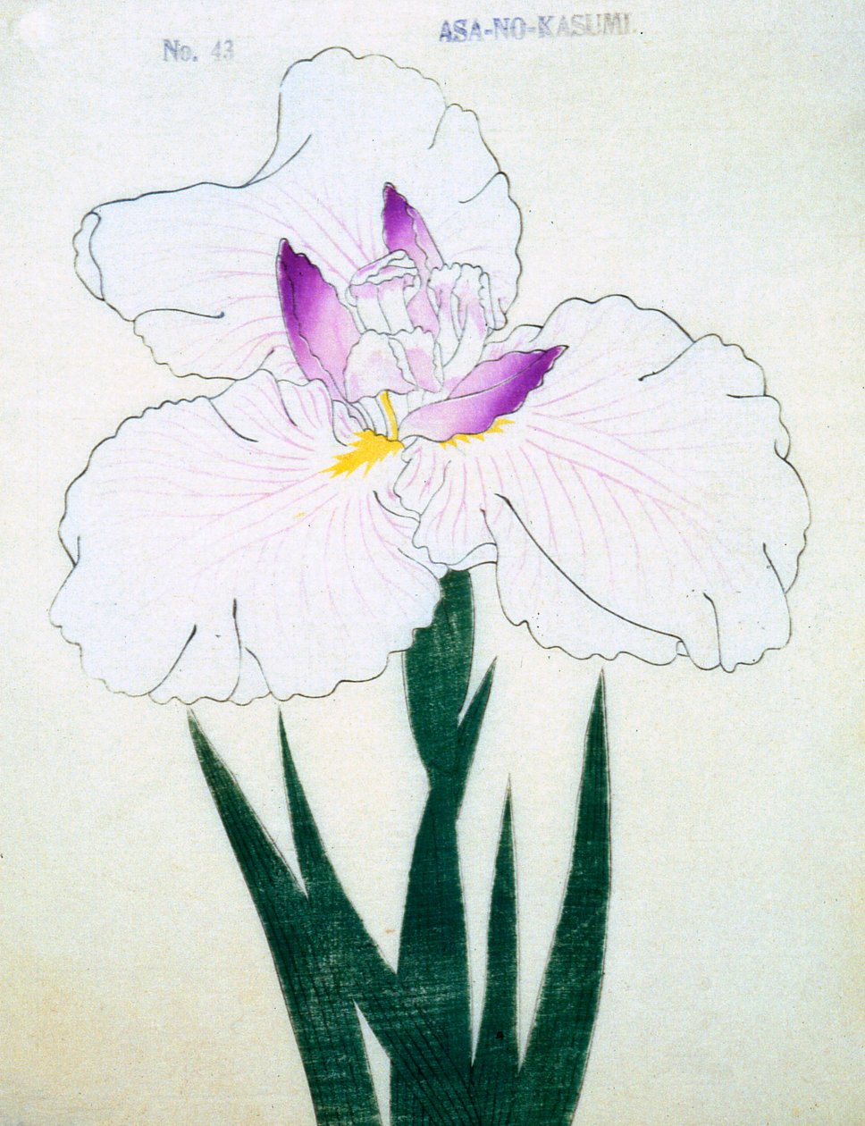 Grunt. -Kasumi Arimura. 43, 1898 av Japanese School