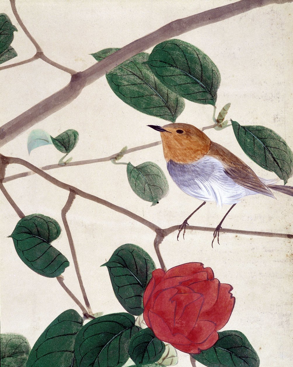 Fugl og blomster. Japansk tegning av Riou Chim, sent på 1800-tallet. av Japanese School
