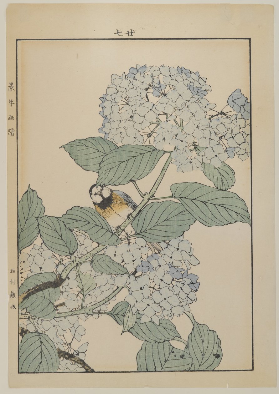 Fugl med hortensia, Meiji-perioden, ca. 1868-1912 (treblokktrykk i farger) av Japanese School