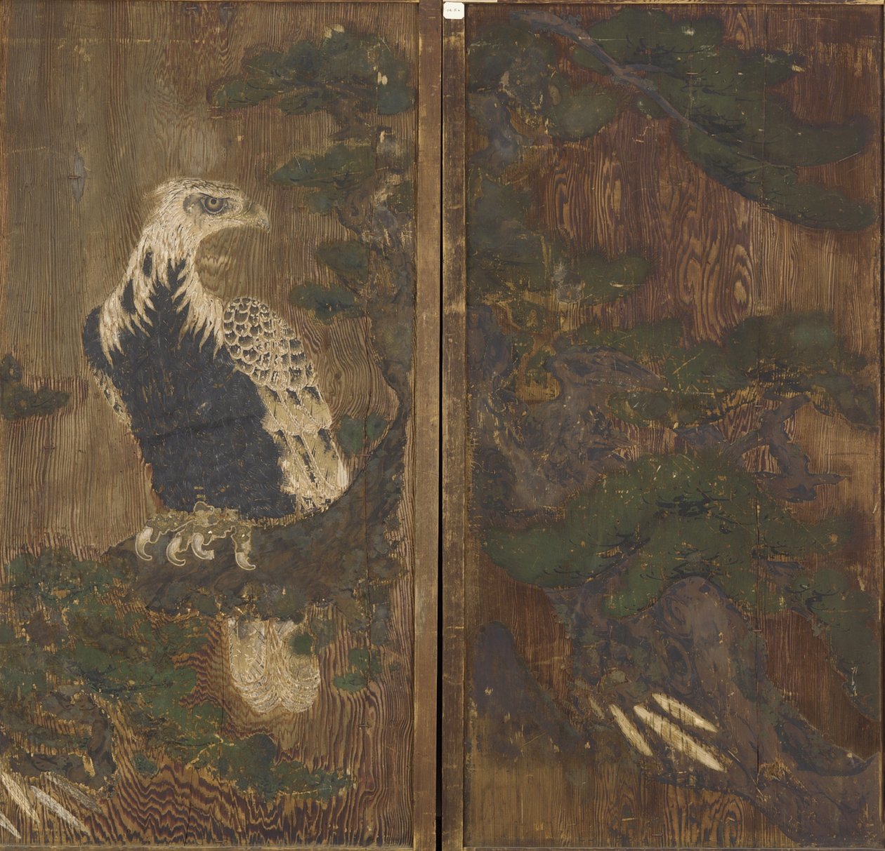 Ørn i et furutre, Momoyama-periode, muligens 1600-tallet (blekk og farge på tre) av Japanese School