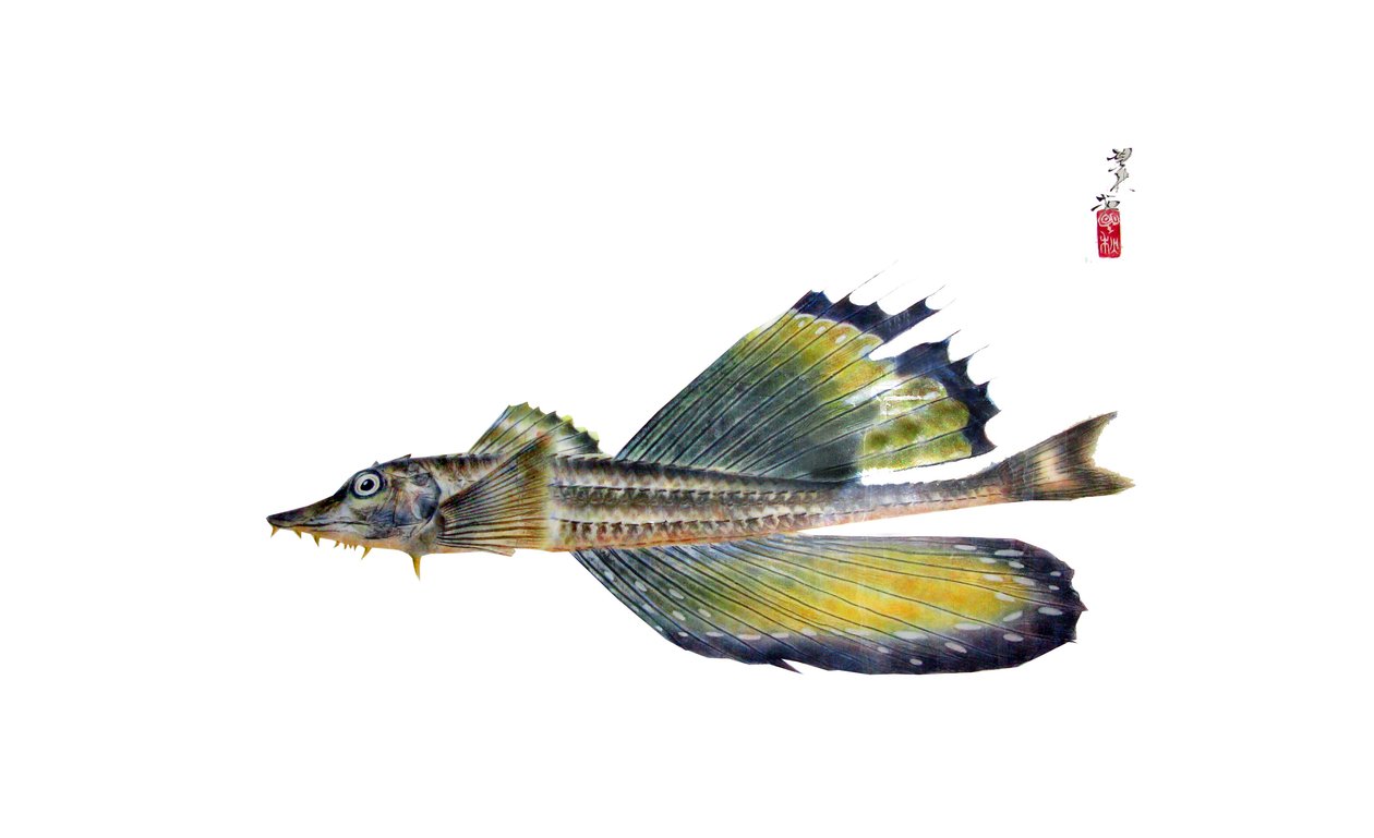 Gyotaku av Japanese School