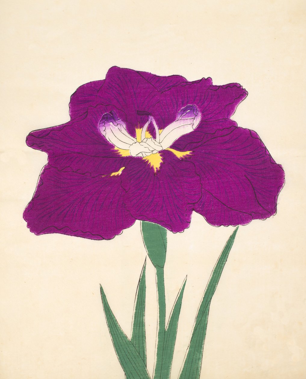 Hizumes. -Hyo. 29, 1898 av Japanese School