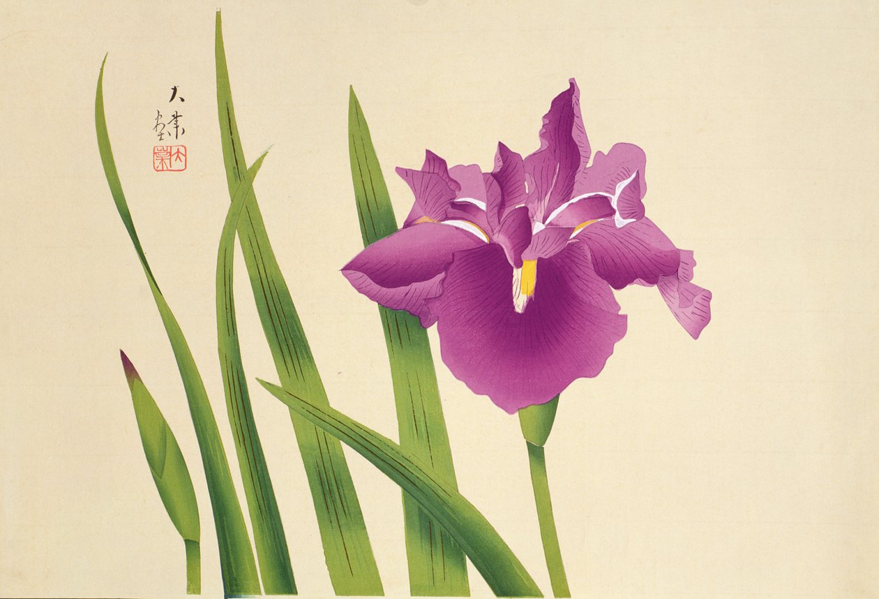 Iriser, pub. ca. 1950 av Japanese School