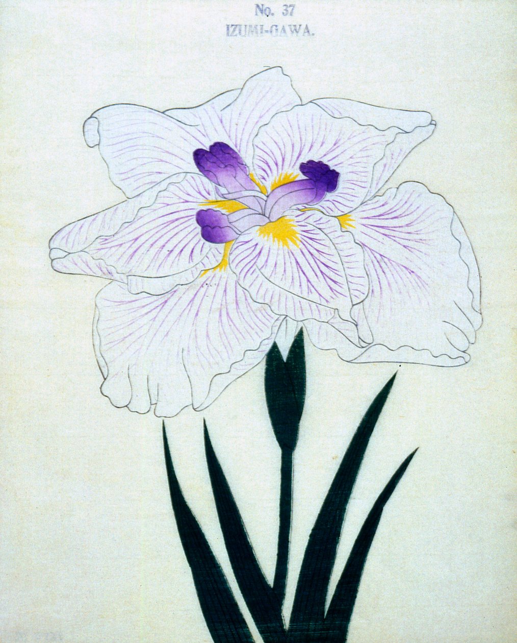 På Izumi-siden. 37, 1898 av Japanese School