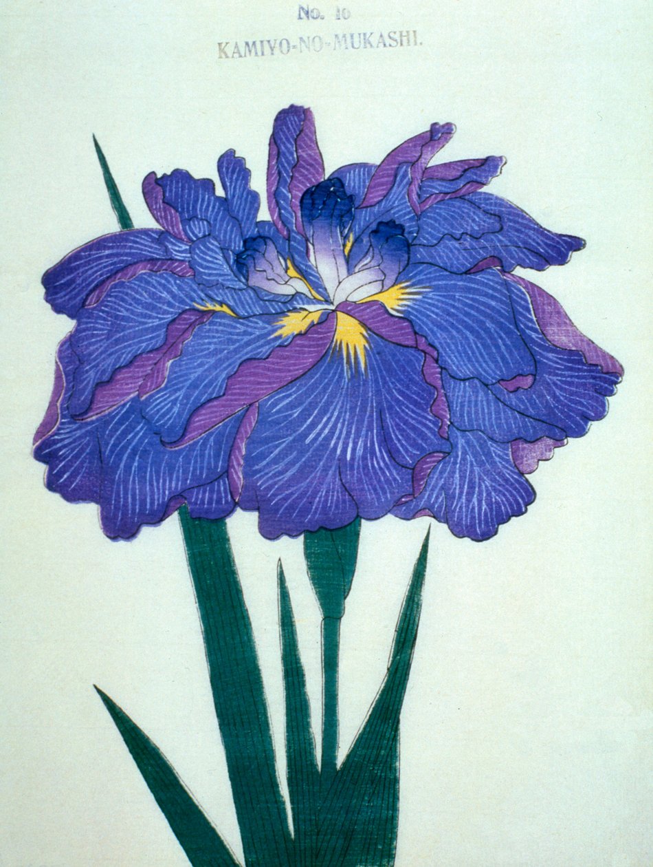 Ser deg. -Gamle dager. 16, 1898 av Japanese School