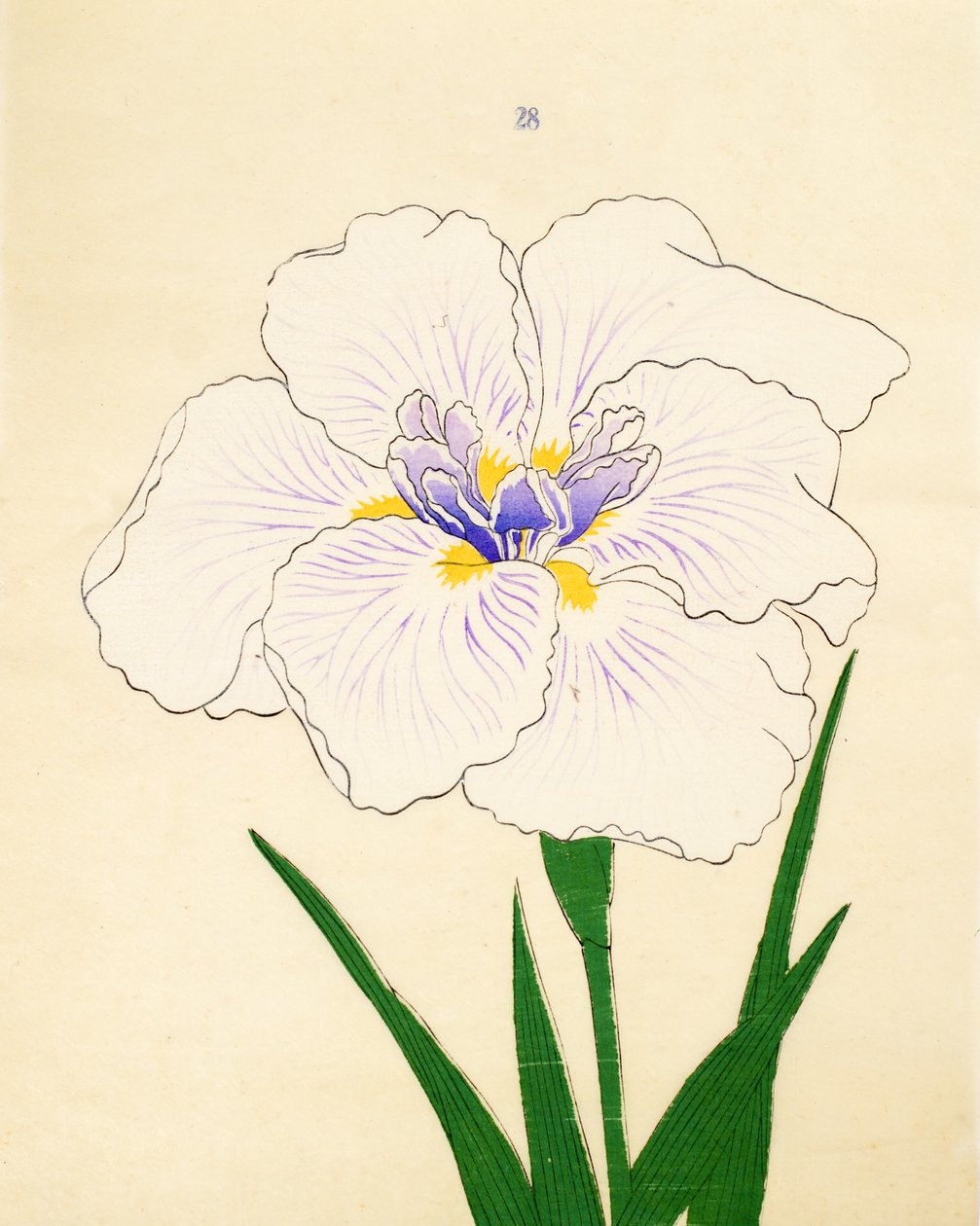 Manozuru, av. 28, 1890 av Japanese School