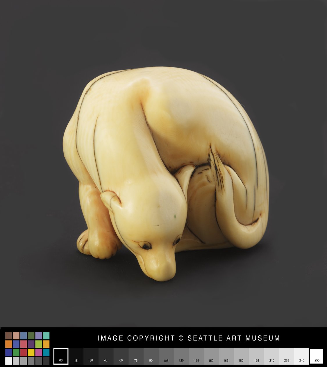 Netsuke modellerte tidlig som en liggende hund 1800-tallet (elfenben) av Japanese School