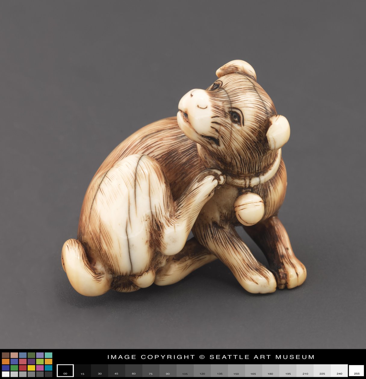 Netsuke modellerte som en hund som klør seg nakke av Japanese School