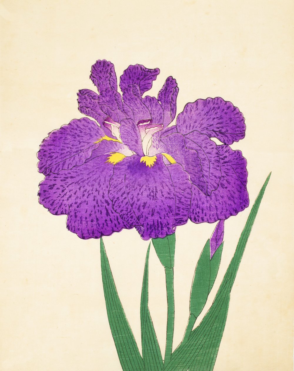 Spre det på Nyo. 11, 1898 av Japanese School