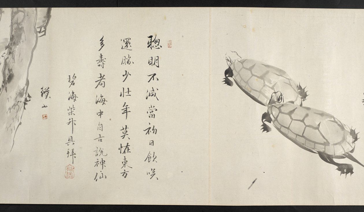 Eller. 14872, f.36, To skilpadder, fra Yoshida Seisai (handscroll) av Japanese School