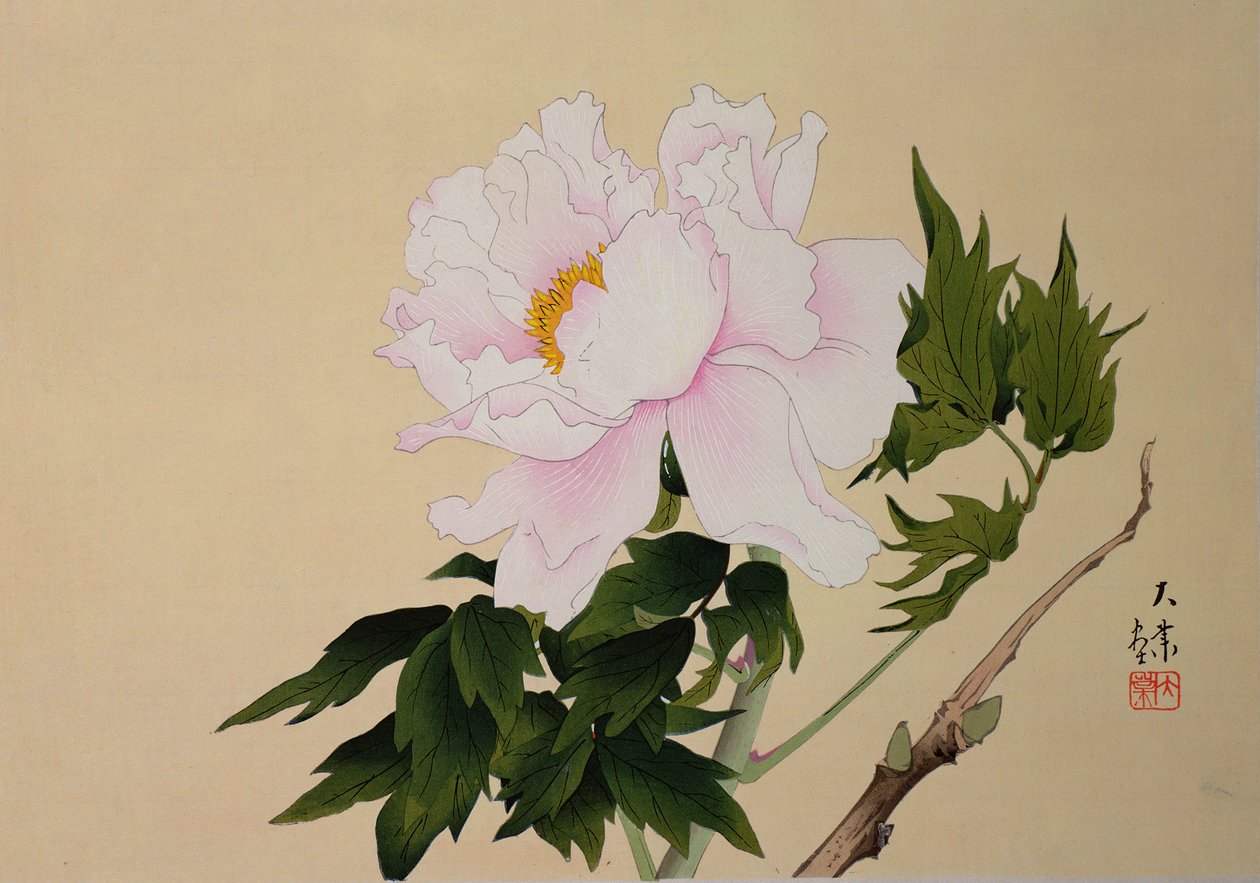 Peony, pub. 1950 av Japanese School
