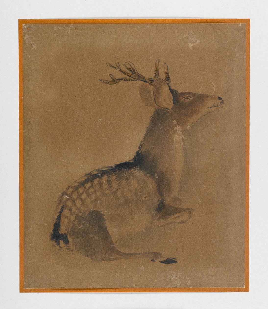 Liggende hjort (blekk og sepia på papir) av Japanese School