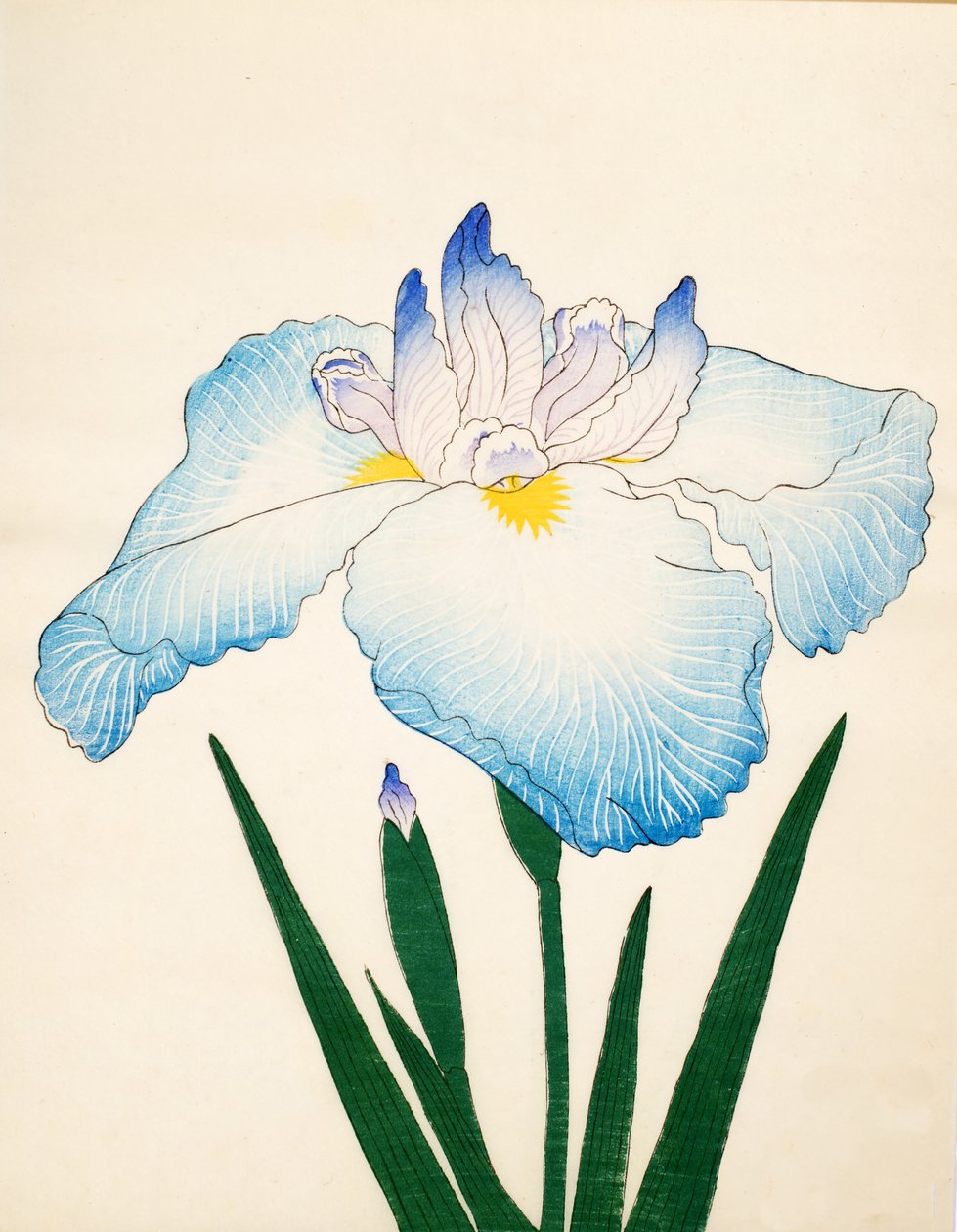 krusninger av. 68, 1890 av Japanese School
