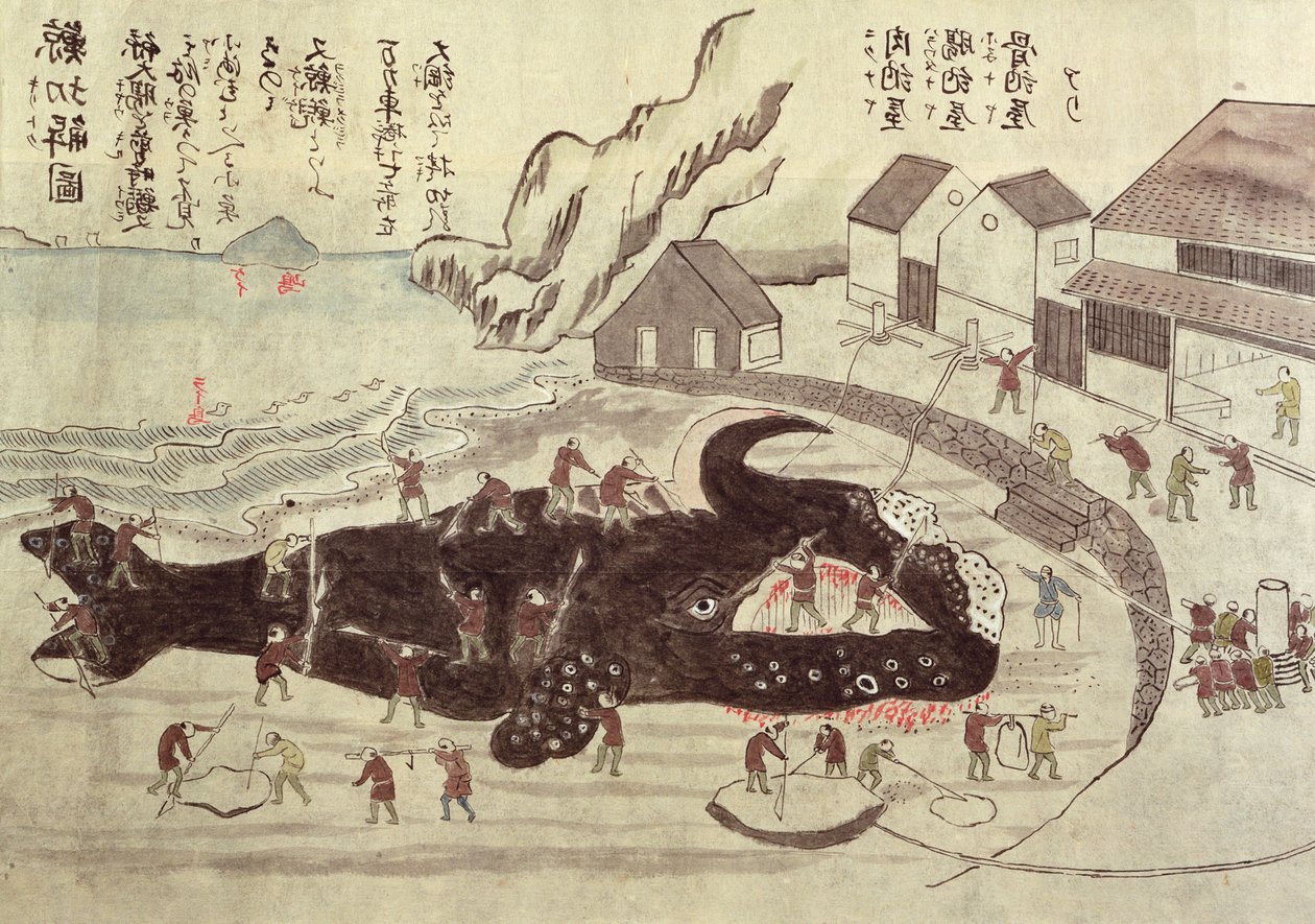 The Jointing of a Whale, slutten av 1800-tallet (fargegravering) av Japanese School