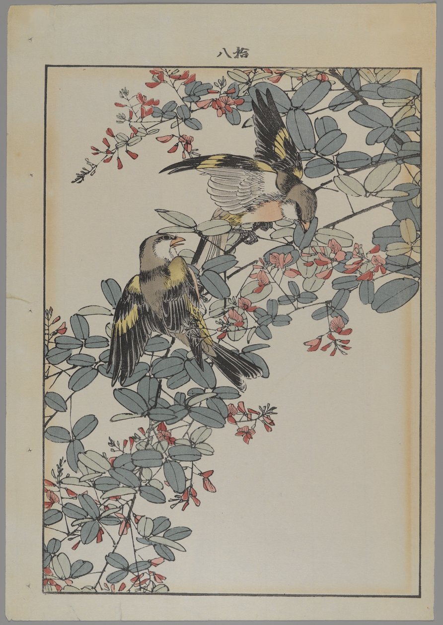 To fugler med rosa blomster, Meiji-perioden, ca. 1868-1912 (farget treblokktrykk) av Japanese School