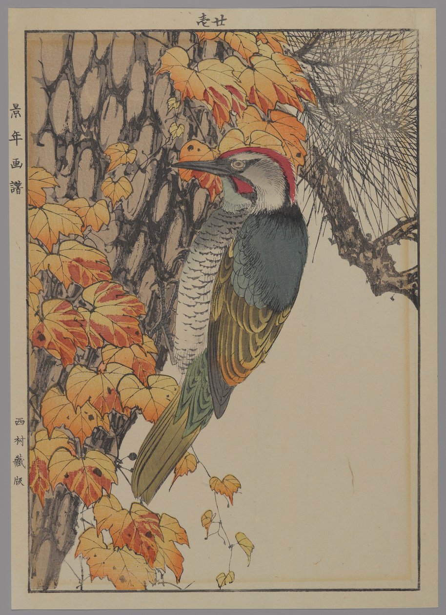 Hakkespett, 1892 (farget treblokktrykk) av Japanese School