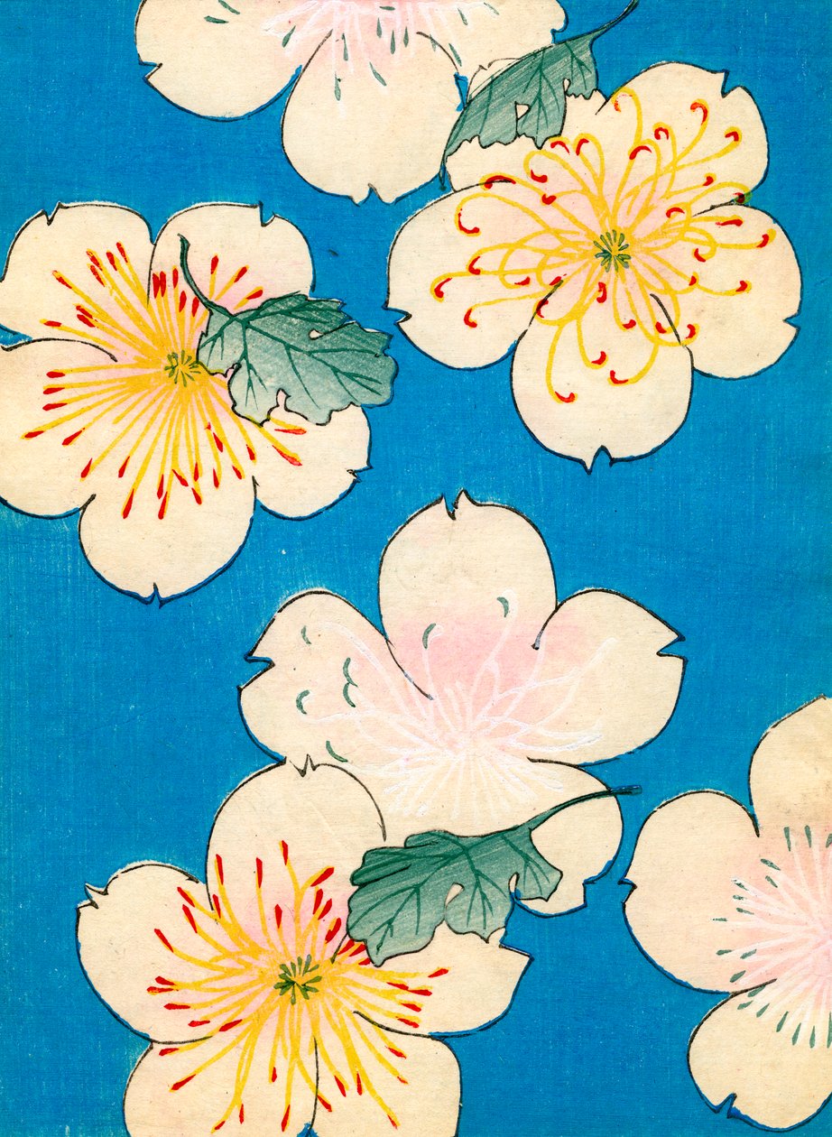 farget treblokktrykk av Dogwood Blossoms av Japanese School