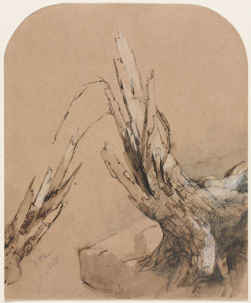 Et sprengt tre, 1851. av Jasper Francis Cropsey