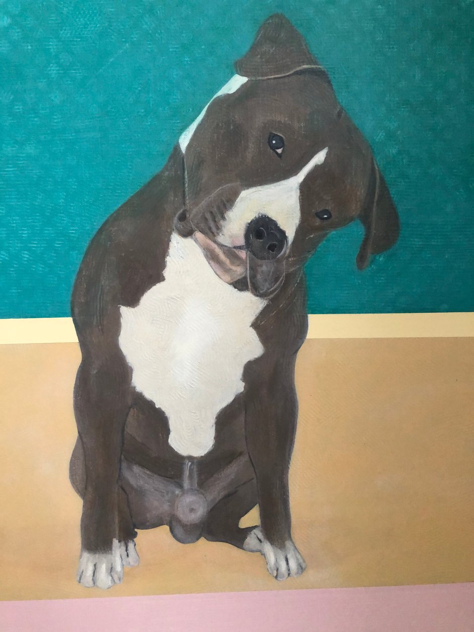  av Jasper Galloway