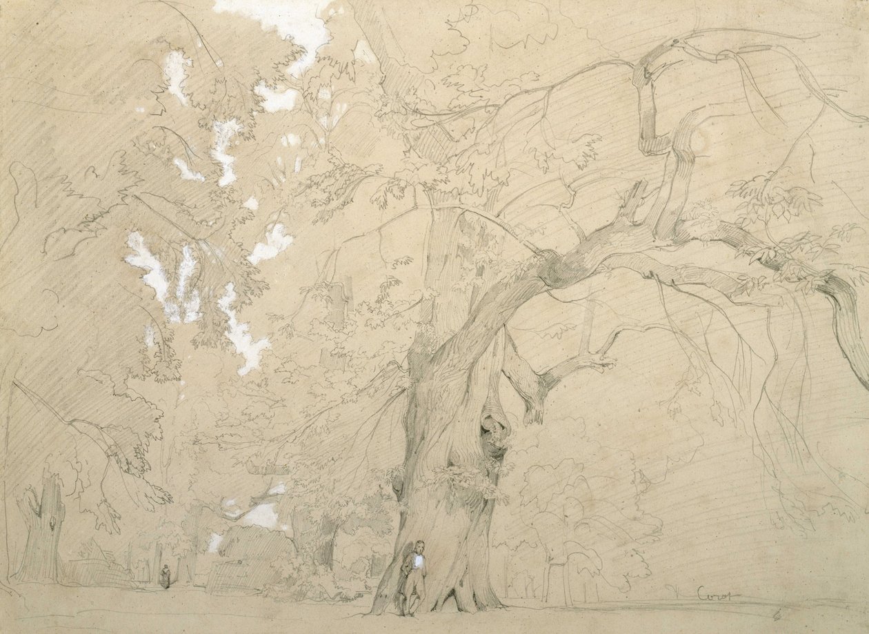 En ung mann foran en stor eik av Jean Baptiste Camille Corot