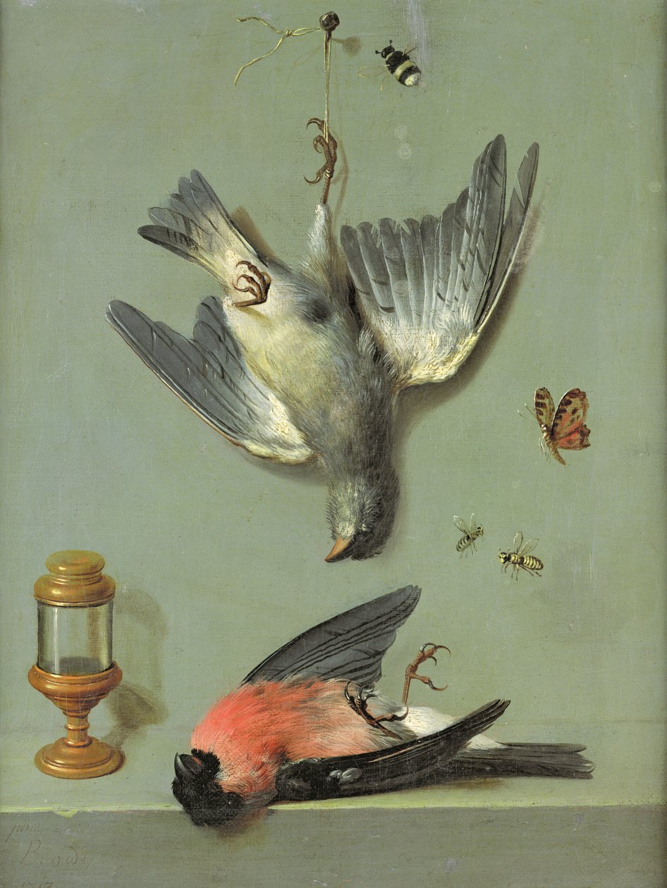 Stilleben med fugler og insekter, 1713 av Jean Baptiste Oudry